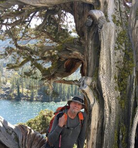 the old man and the tree